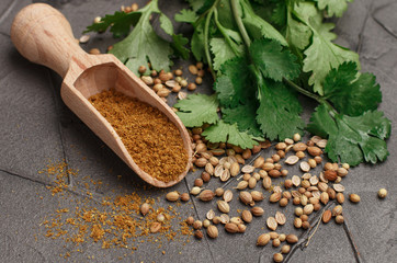 Bunch fresh cilantro , whole and ground coriander on the table. Spices and condiments. Selective focus - 180116356