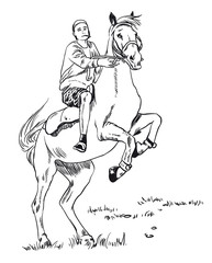 young guy rider riding a horse that stands on its hind legs, sketch vector illustration
