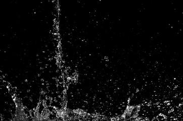 Fototapeta premium water Splash isolated On black Background