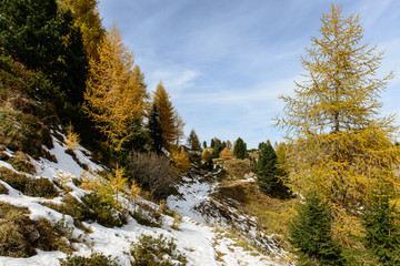 Panorami dolomitici