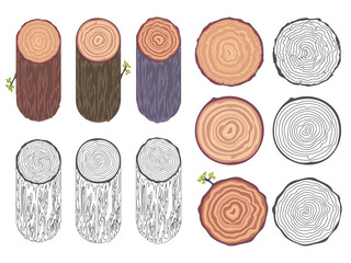 Tree rings saw cut tree trunk barrel bark natural decorative design elements set vector illustration