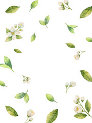 Fototapeta na wymiar Watercolor vector frame of flowers and branches Jasmine isolated on a white background.