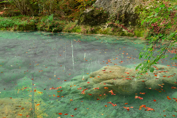 The natural park of Urederra autumnal, Spain