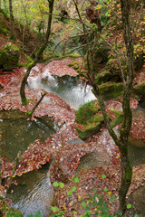 The natural park of Urederra autumnal, Spain