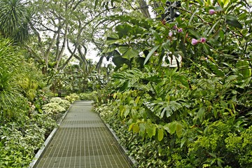 Garden Walk, Topical Garden of Asia, Singapore Botanical Garden