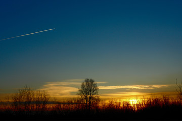 Beautiful Sunset. Blue sky, setting sun and the outline of the tree. Far away in the sky flying aircraft
