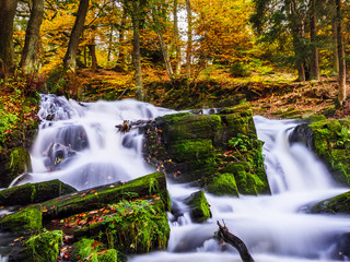 Selkefall im Herbst