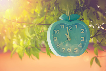 Time Management Concept : Alarm clock hanging on green branches tree at outdoor garden. (Selective focus)
