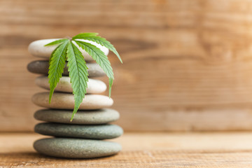 cannabis and hemp 