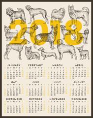 2018 vector calendar design. Year of the dog. Hand drawn dogs set. Vector illustration