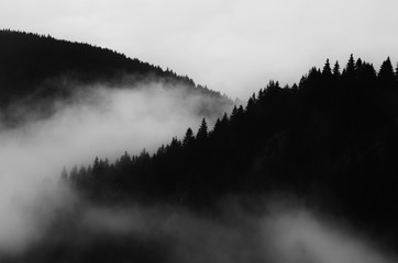 ciemny minimalny krajobraz, czarno-biała sceneria z mgłą i górami - 180124998