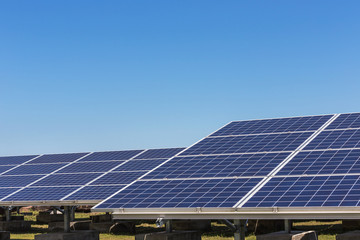 Close up rows of array polycrystalline silicon solar cells in solar power plant turn up skyward absorb the sunlight from the sun use light energy to generate electricity 