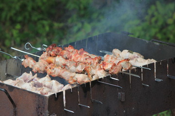 Skewers with meat on the barbecue grill.
