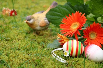 Fototapeta premium bemalte ostereier und gerbera