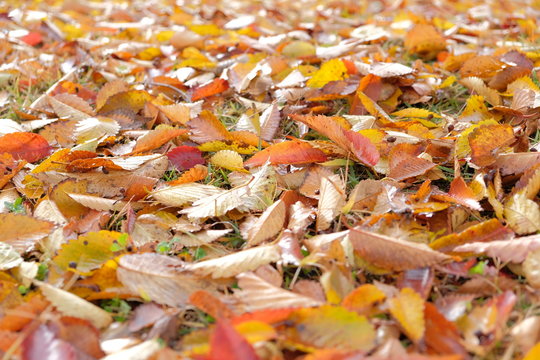 Kzgws Photos Images Assets Adobe Stock