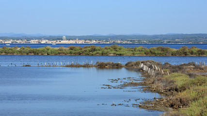 Bassin de Thau