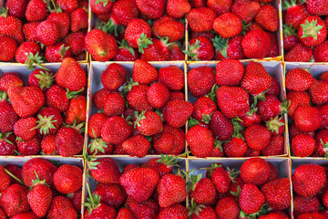 Strawberries on the counter