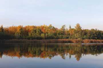 jesienne drzewa nad stawem