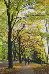 park jesienią i spacerująca para
