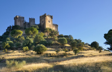 Castillo de Almodovar del Rio