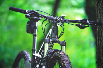 mountain bike