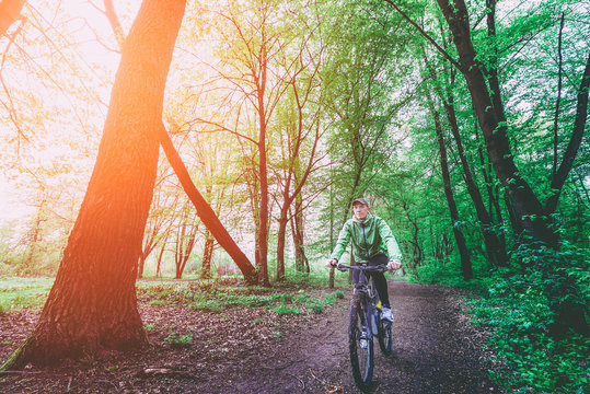 MTB Cyclist in the forest sunlight