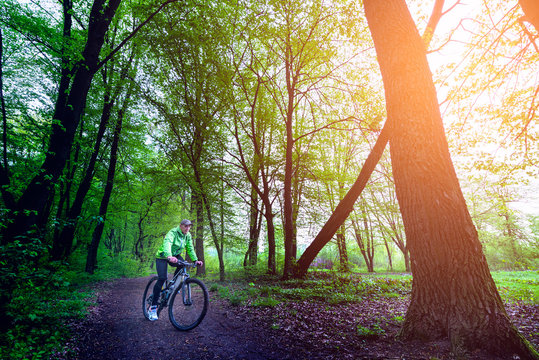 A man rides a bicycle through the woods