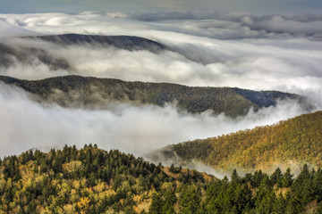 Fog On The Blue Ridge Parkway
