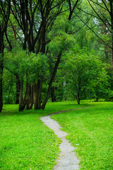 Fototapeta na wymiar Park with different beautiful trees