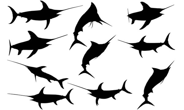 Sword fish Silhouette Vector Graphics