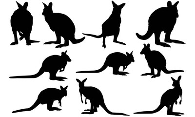 Wallaby Silhouette Vector Graphics - obrazy, fototapety, plakaty