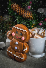 Traditional Christmas treat. Hot chocolate with marshmallow, gingerbread man cookie, fir tree branches and xmas holiday decorations copy space