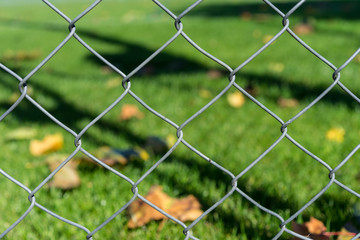leaf seen through iron fence with green meadow
