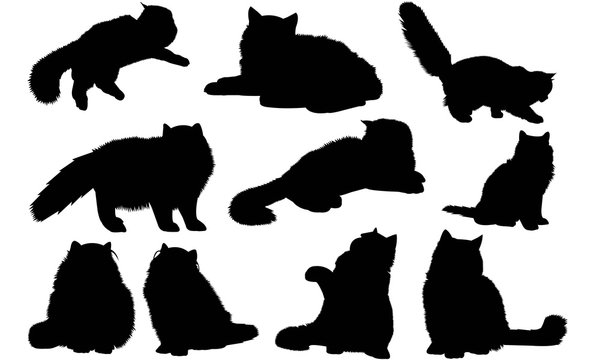 Persian Cat Silhouette Vector Graphics