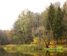 Obraz premium Different views of autumn scenery