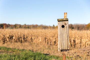 Old Bird House on a Metal Post