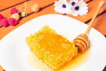 Honey, Honeycomb, Honey Bee.