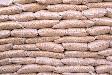 Renewable energy- biomass