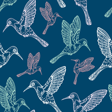 Seamless pattern with colibry.