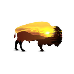 Silhouette of buffalo with golden nature landscape.