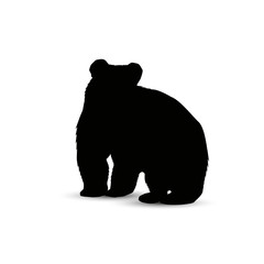 Silhouette of standing brown  bear.