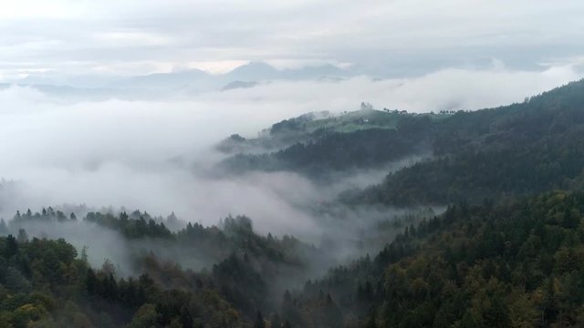Fast flying aerial view over foggy pine tree forest moving towards hill tops standing above the clouds in Skofja Loka Slvenia.