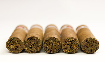 Close-up photo of still life with five cigars on white table