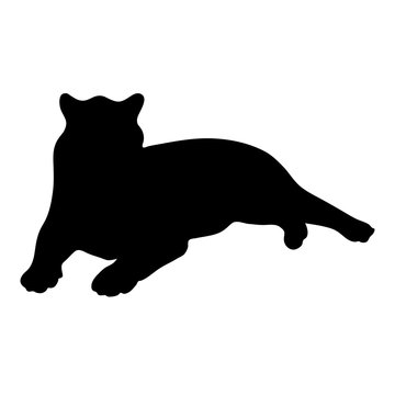 black silhouette of lying tiger on white background of vector illustration