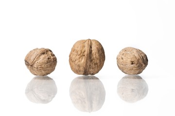 walnuts isolated on white studio background