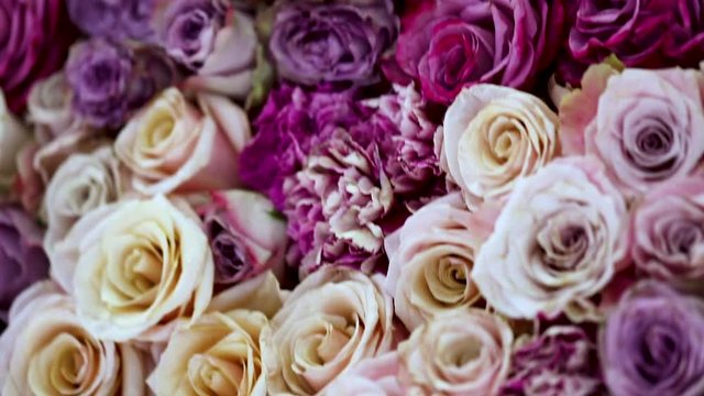 Natural roses background closeup