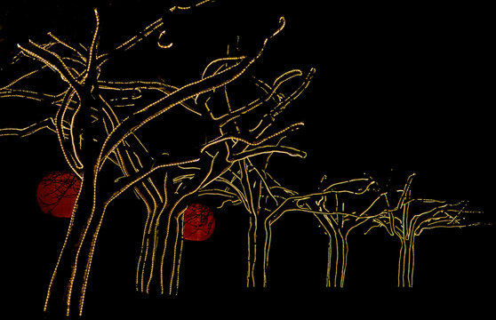 B&auml;ume mit Lichterkette