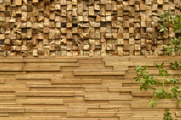 Wood wall / Decorative wooden wall and plant