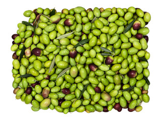 olive verdi isolate su fondo bianco. Vista dall'alto.