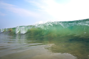 Beautiful wave in the ocean 